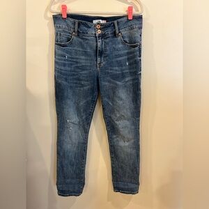 Cabi Cinch Straight Jean Size 12 Style #4521